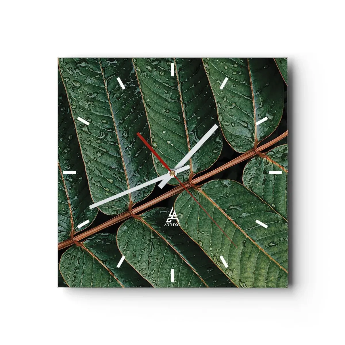 Horloge murale - Pendule murale - Macro shot de feuilles vertes avec des gouttes de rosée - 30x30cm - Au rythme de la verdure - Décoration murale moderne pour le salon et la chambre ARTTOR