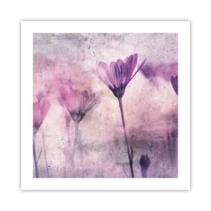 Affiche - Poster - Rêve de fleurs - 50x50 cm