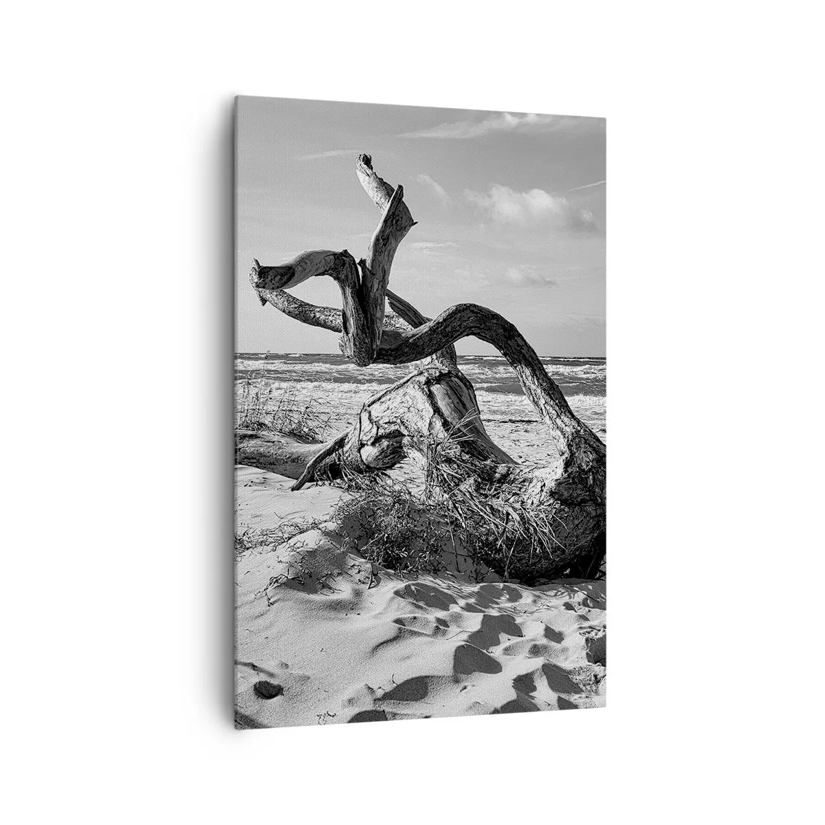 Impression sur toile - Image sur toile - Paysage noir et blanc avec un arbre mort sur la plage - 80x120cm - Sculpture marine - Décoration murale moderne pour le salon et la chambre ARTTOR