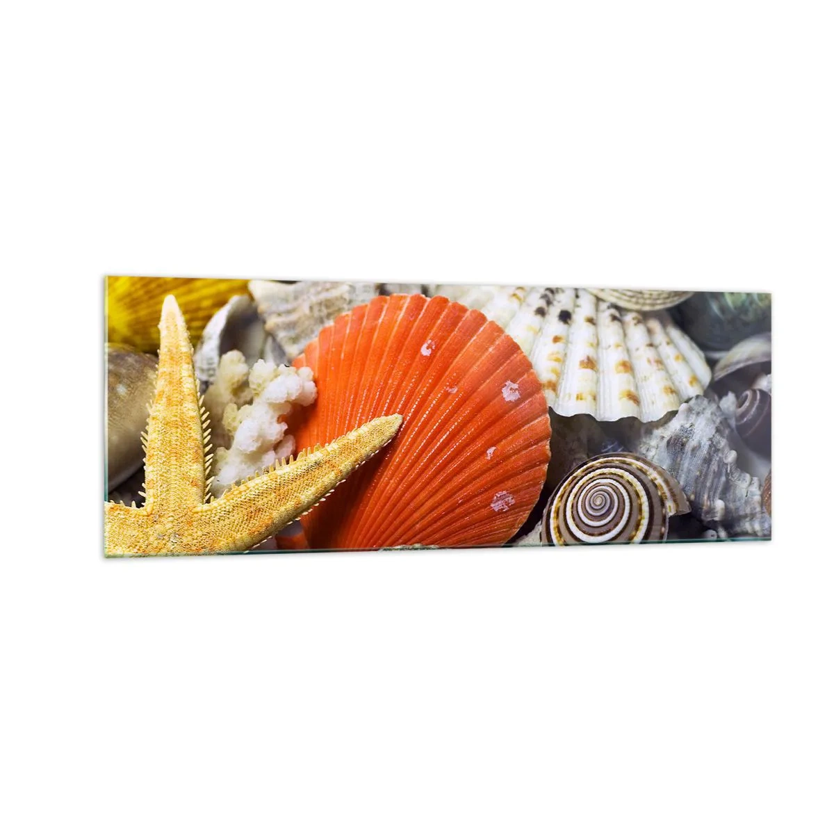 Impression sur verre - Image sur verre - Coquillages et étoiles de mer dans une composition marine - 140x50cm - Trésors de l'océan - Décoration murale moderne pour le salon et la chambre ARTTOR
