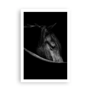 Affiche - Poster - Prince Noir - 61x91 cm