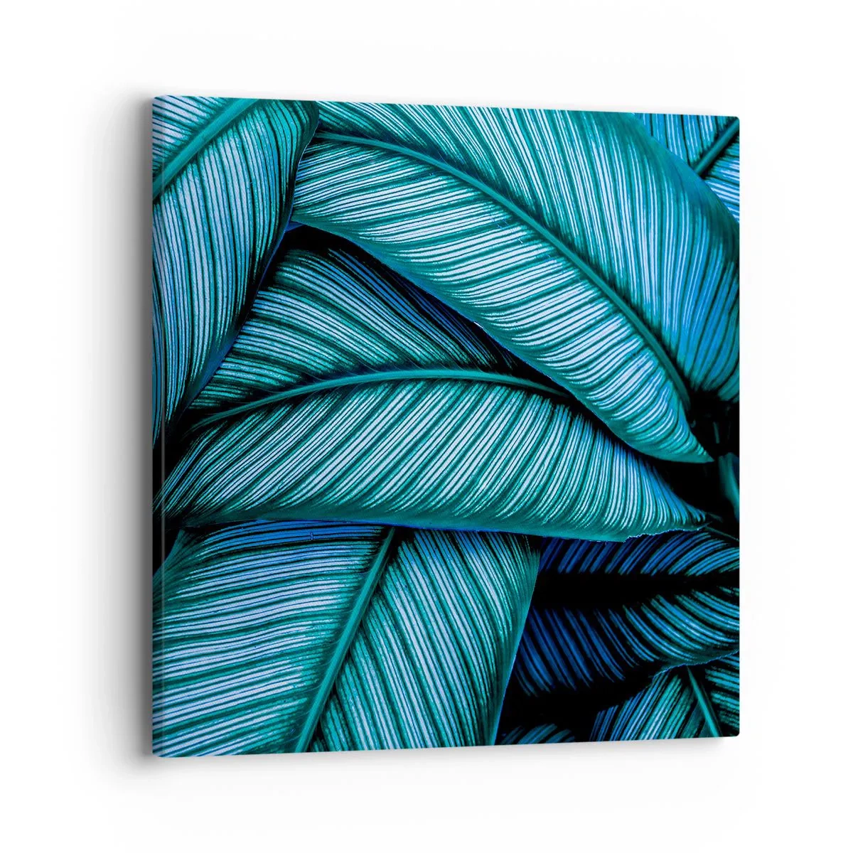 Impression sur toile - Image sur toile - Lignes de vie - 40x40 cm