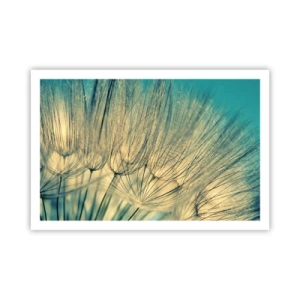 Affiche - Poster - En attente du vent - 91x61 cm