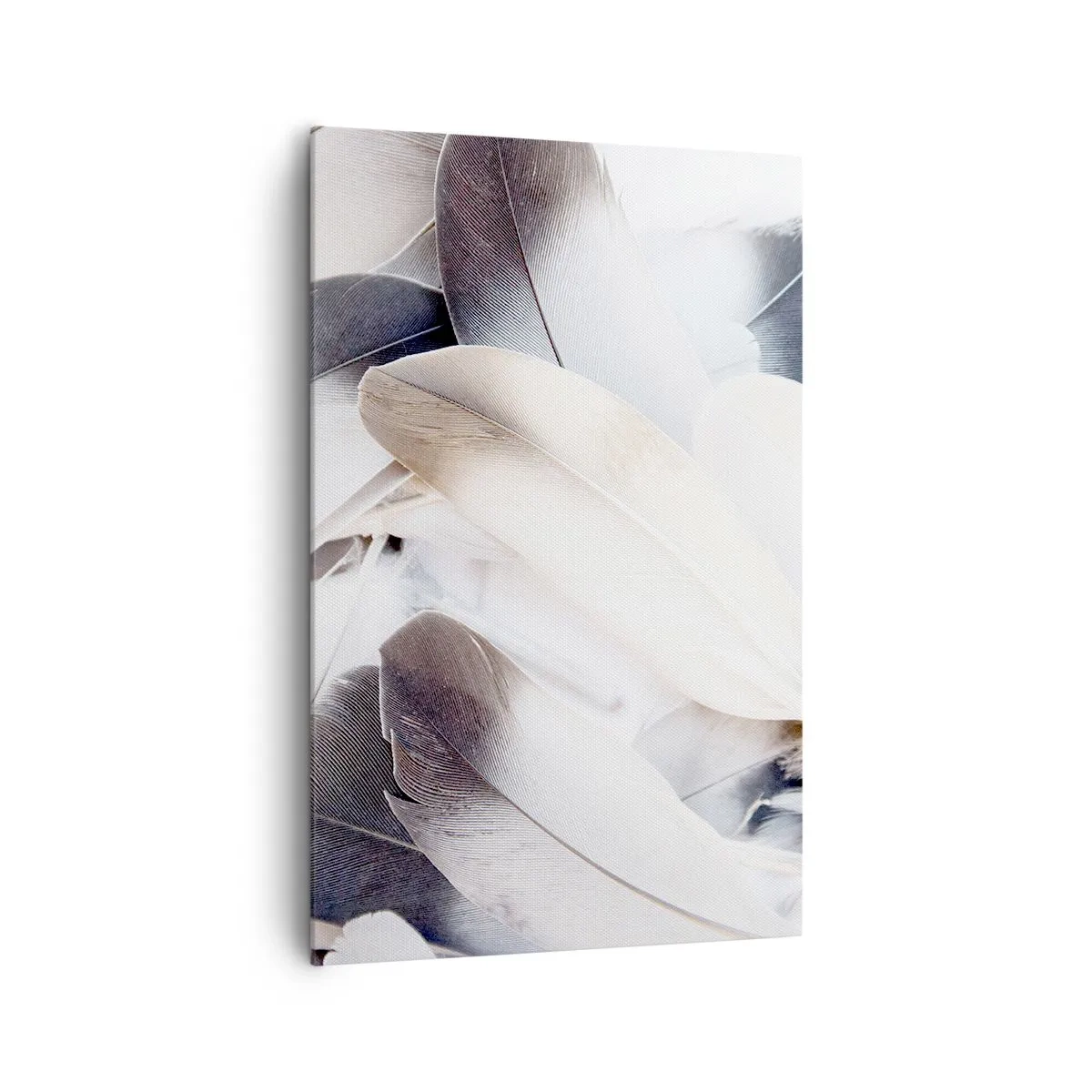 Impression sur toile - Image sur toile - Gros plan de plumes délicates dans des tons de blanc et de gris - 80x120cm - Presque angélique - Décoration murale moderne pour le salon et la chambre ARTTOR