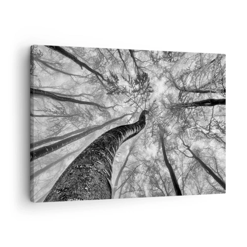 Impression sur toile - Image sur toile - Perspective d'arbres dans une forêt vue d'en bas en nuances de gris - 70x50cm - Course vers la lumière - Décoration murale moderne pour le salon et la chambre ARTTOR