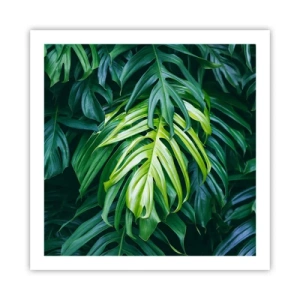 Affiche - Poster - Immergez-vous dans la fraîcheur - 60x60 cm