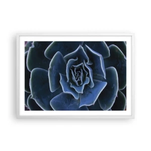 Affiche dans un cadre blanc - Poster - Fleur du désert - 70x50 cm