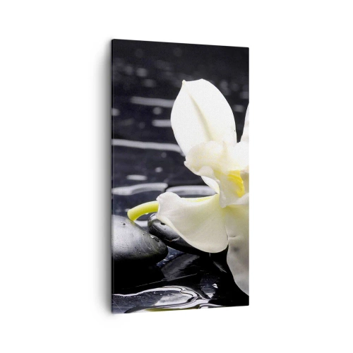 Impression sur toile - Image sur toile - Étude en noir et blanc - 45x80 cm