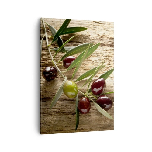 Impression sur toile - Image sur toile - Branche d'olivier avec des fruits sur un fond de bois vieilli - 50x70cm - Directement de la nature - Décoration murale moderne pour le salon et la chambre ARTTOR