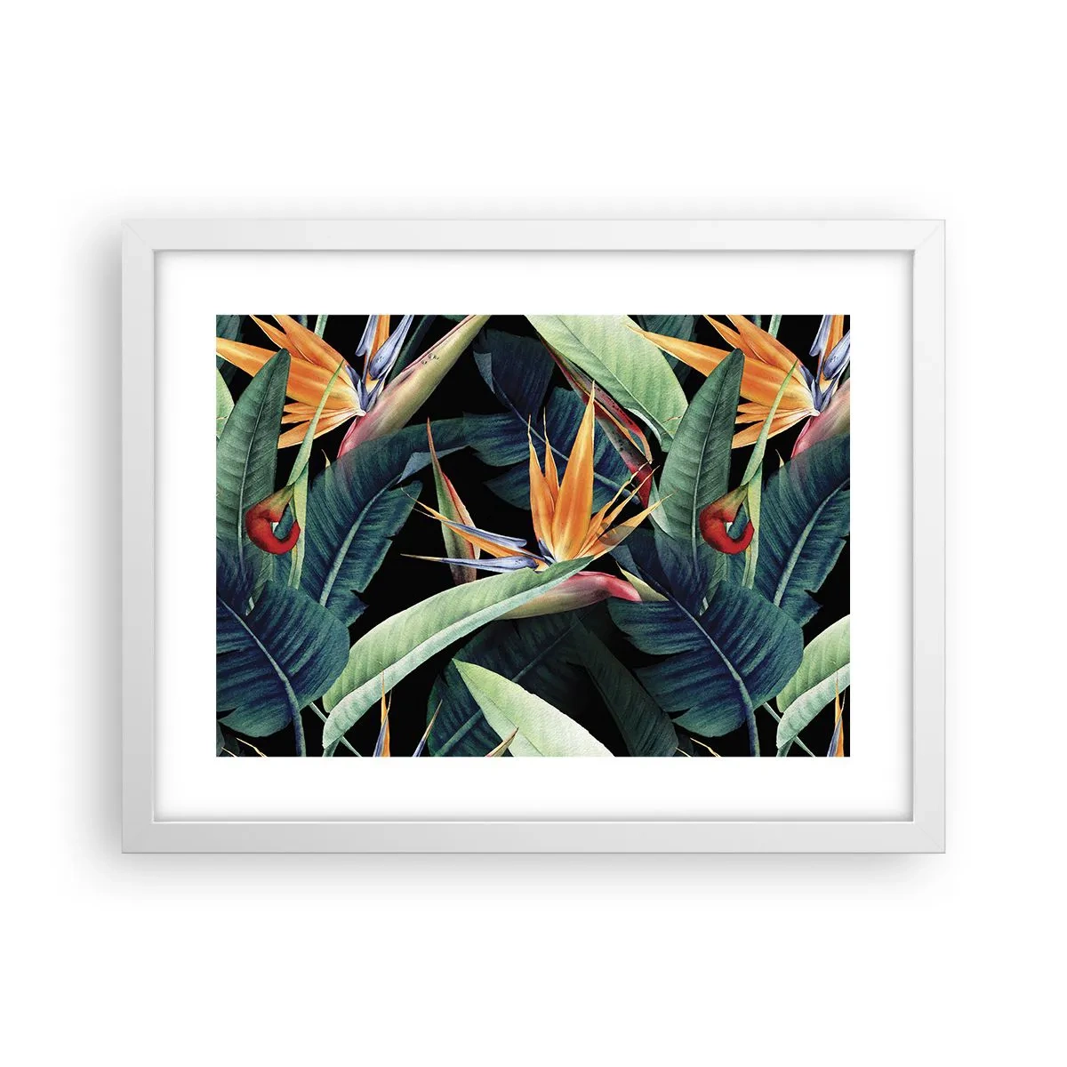 Affiche dans un cadre blanc - Poster - Fleurs flamboyantes des tropiques - 40x30 cm
