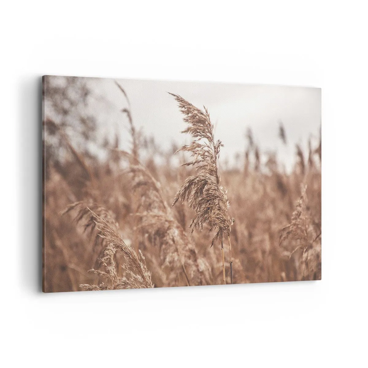 Impression sur toile - Image sur toile - Herbes dorées sur fond de paysage d'automne - 120x80cm - C'est déjà l'automne dans les champs - Décoration murale moderne pour le salon et la chambre ARTTOR