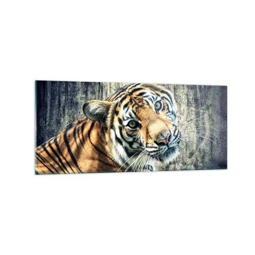 Impression sur verre - Image sur verre - Un tigre couché contre un mur à la texture rugueuse - 120x50cm - Portrait dans les flots de lumière - Décoration murale moderne pour le salon et la chambre ARTTOR
