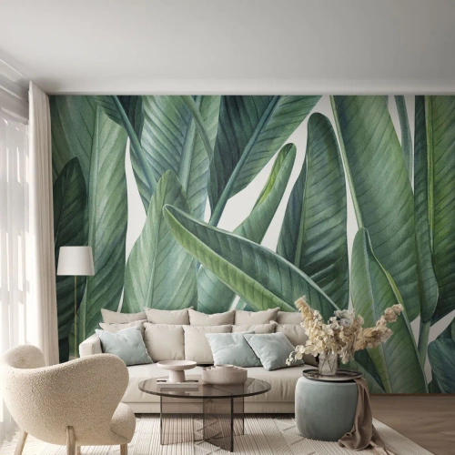 Papier Peint Photo Standard Eco - Feuilles de bananier botaniques dans des tons verts sur fond blanc - 100x70cm - La nature face à elle-même - Décoration murale moderne pour le salon et la chambre ARTTOR