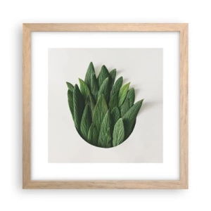 Affiche dans un chêne clair - Poster - Curiosité sans retenue - 30x30 cm