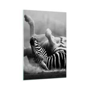 Impression sur verre - Image sur verre - Un zèbre noir et blanc se roulant dans le sable - 70x100cm - Pas uniquement le cheval en rirait - Décoration murale moderne pour le salon et la chambre ARTTOR