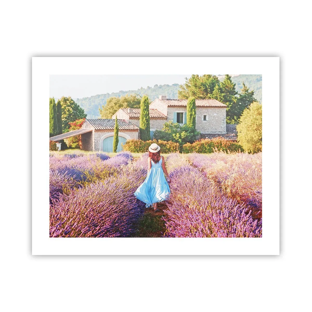 Affiche - Poster - Fille de la lavande - 50x40 cm