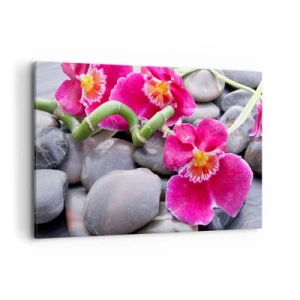 Impression sur toile - Image sur toile - Orchidées roses sur fond de pierres lisses - 120x80cm - Refroidir et chauffer - Décoration murale moderne pour le salon et la chambre ARTTOR