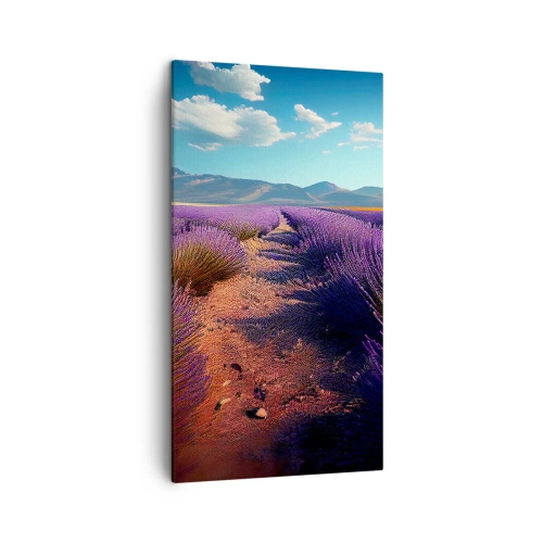 Impression sur toile - Image sur toile - Champs parfumés - 45x80 cm
