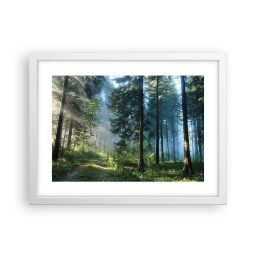 Affiche dans un cadre blanc - Poster - Rayonnant le matin - 40x30 cm