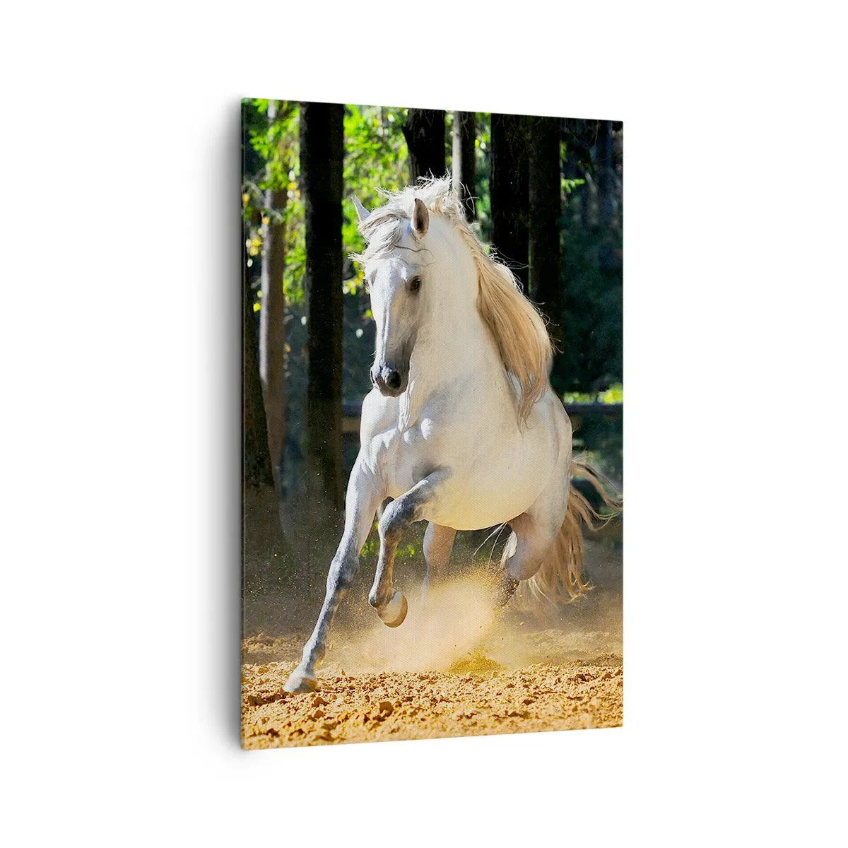 Impression sur toile - Image sur toile - Un cheval blanc galopant dans une clairière forestière - 80x120cm - Comme dans un roman fantastique - Décoration murale moderne pour le salon et la chambre ARTTOR
