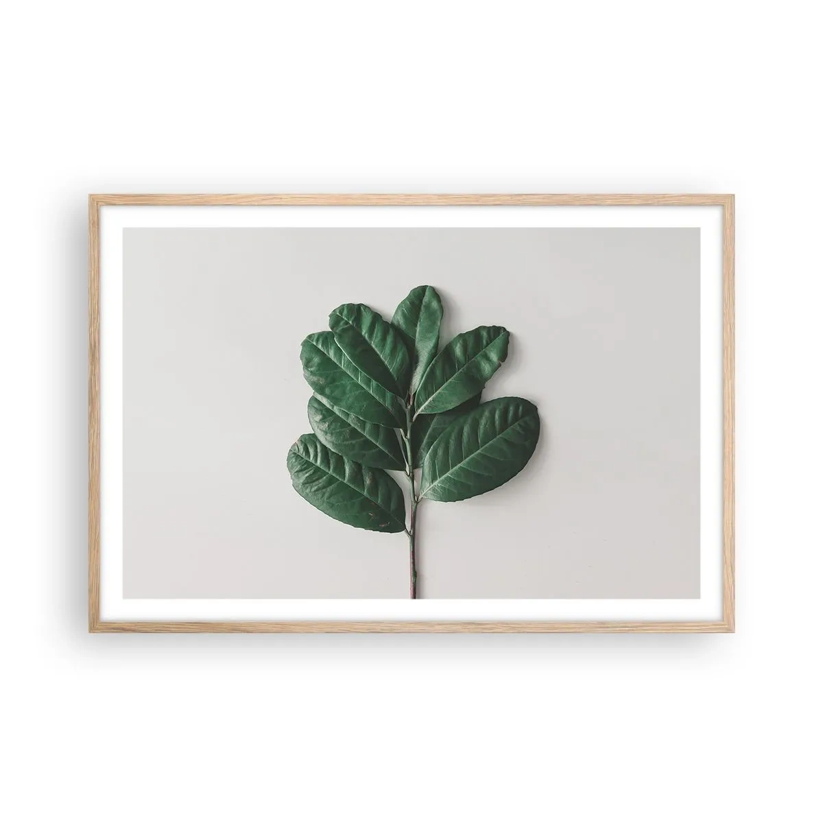 Affiche dans un chêne clair - Poster - Dessin de la nature elle-même - 91x61 cm