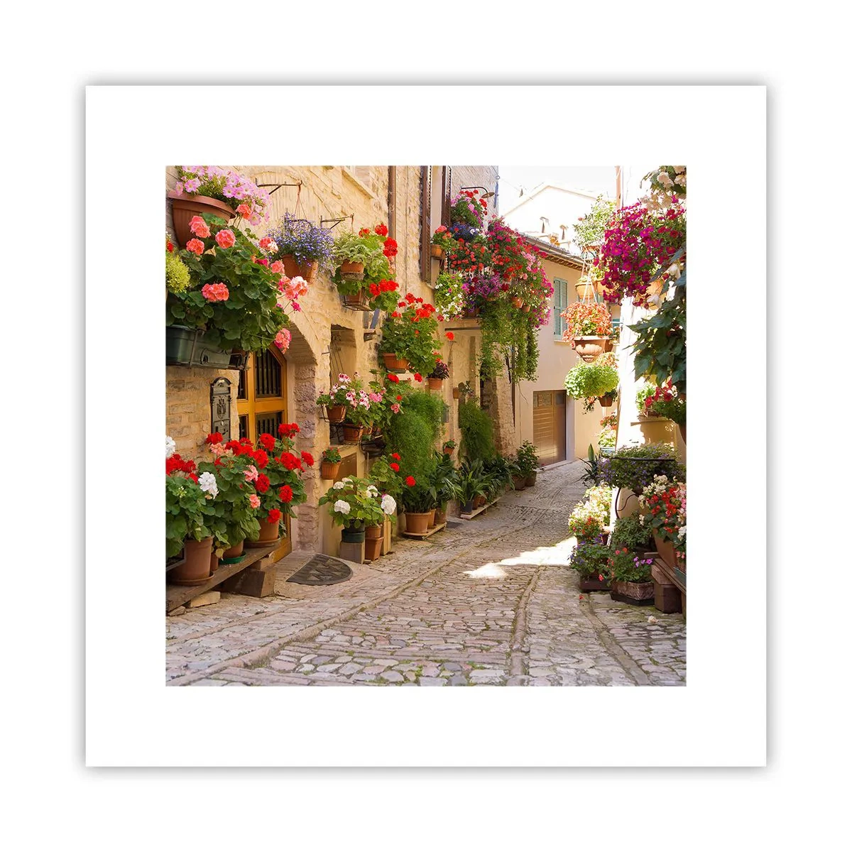 Affiche - Poster - Une inondation de fleurs - 30x30 cm
