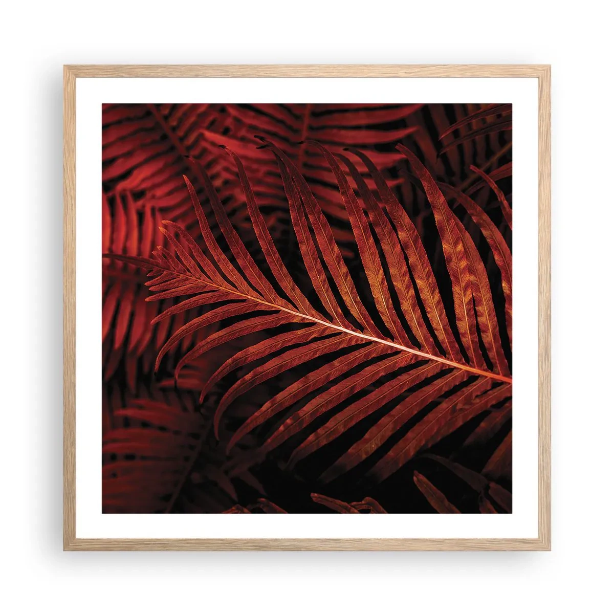 Affiche dans un chêne clair - Poster - Chaleur de la vie - 60x60 cm