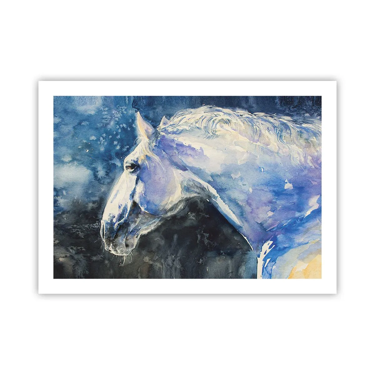 Affiche - Poster - Portrait dans une lueur azur - 70x50 cm