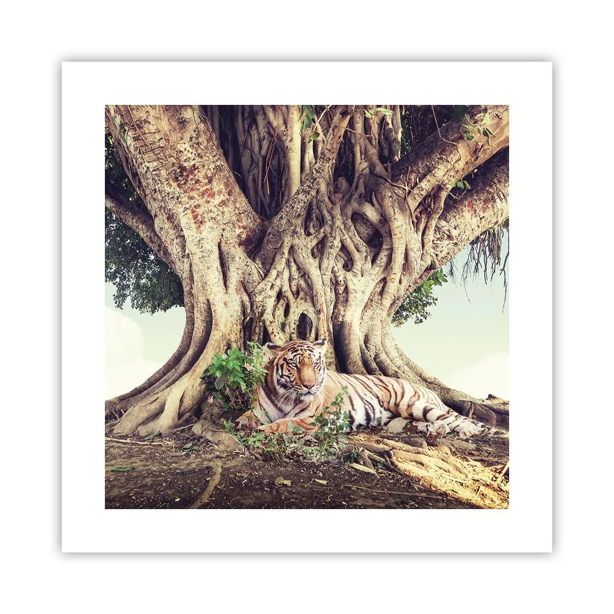 Affiche - Poster - Vue du Livre de la Genèse - 40x40 cm