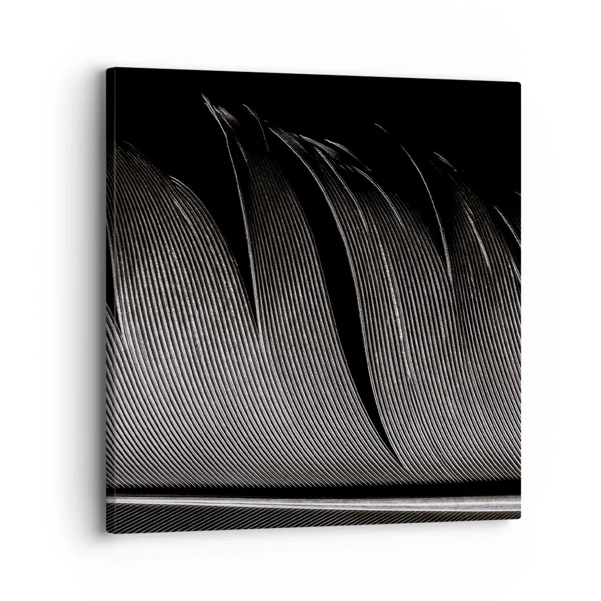 Impression sur toile - Image sur toile - La plume – un design magnifique - 30x30 cm