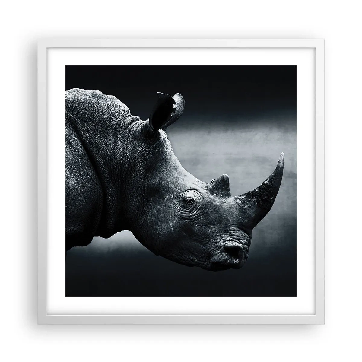 Affiche dans un cadre blanc - Poster - Le profil droit - 50x50 cm