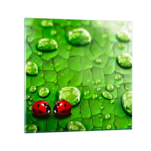 Impression sur verre - Image sur verre - Rendez-vous au vert - 40x40 cm