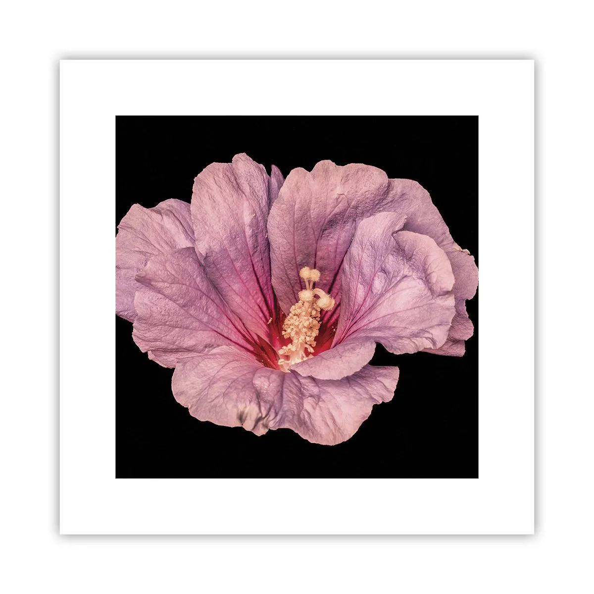 Affiche - Poster - Directement au coeur - 30x30 cm