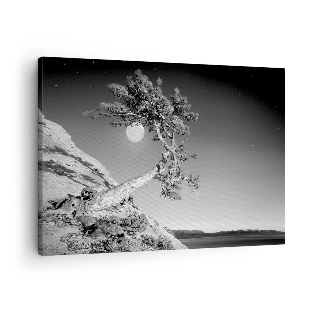 Impression sur toile - Image sur toile - Arbre noir et blanc sur une falaise avec la lune en arrière-plan - 70x50cm - Un combattant vainqueur - Décoration murale moderne pour le salon et la chambre ARTTOR