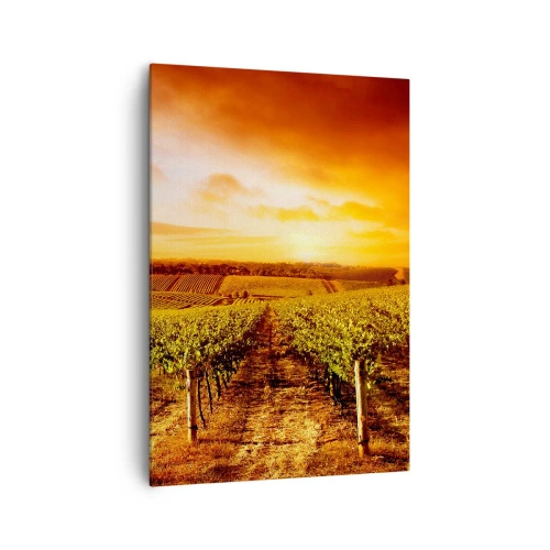 Impression sur toile - Image sur toile - Vignoble au coucher du soleil avec des tons de ciel chauds - 70x100cm - Légèrement fruité avec une pointe de soleil - Décoration murale moderne pour le salon et la chambre ARTTOR