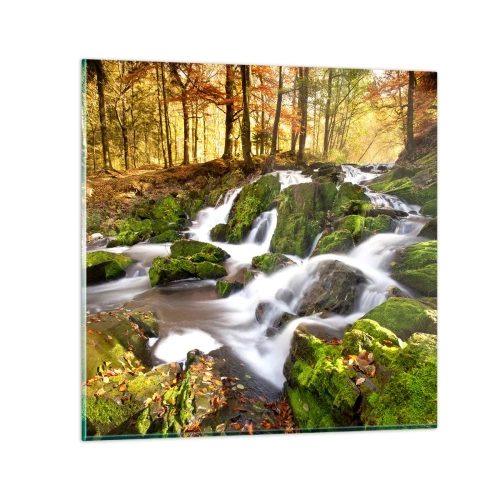 Impression sur verre - Image sur verre - Rapidement à travers la forêt d'automne - 70x70 cm