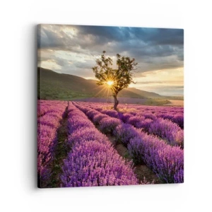 Impression sur toile - Image sur toile - Arôme de couleur lilas - 30x30 cm