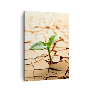 Impression sur toile - Image sur toile - Une plante verte poussant sur une terre sèche et craquelée - 50x70cm - La force indomptable de la vie - Décoration murale moderne pour le salon et la chambre ARTTOR