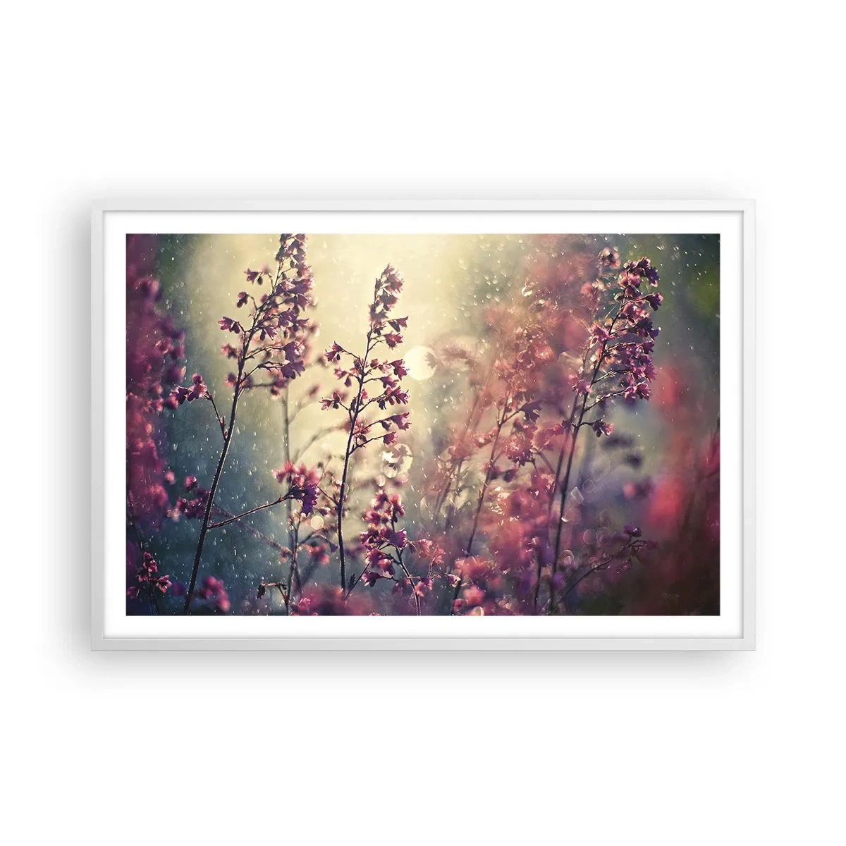 Affiche dans un cadre blanc - Poster - Jardin secret - 91x61 cm