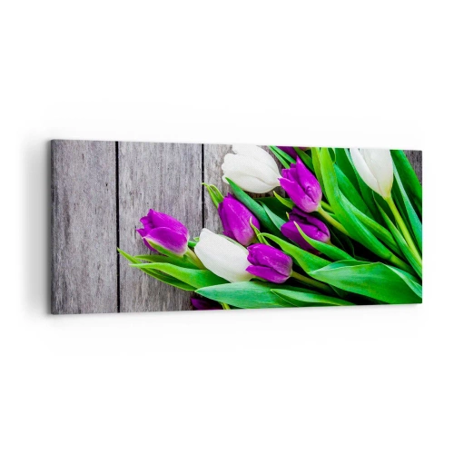 Impression sur toile - Image sur toile - Un bouquet de tulipes violettes et blanches sur un fond en bois - 120x50cm - Le jour des vacances de printemps - Décoration murale moderne pour le salon et la chambre ARTTOR