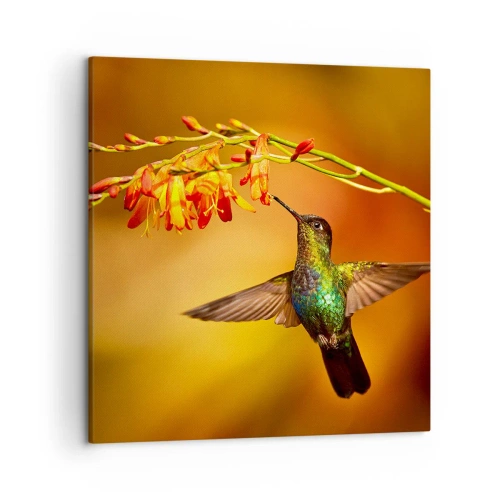 Impression sur toile - Image sur toile - Un messager de lumière selon les Mayas - 50x50 cm