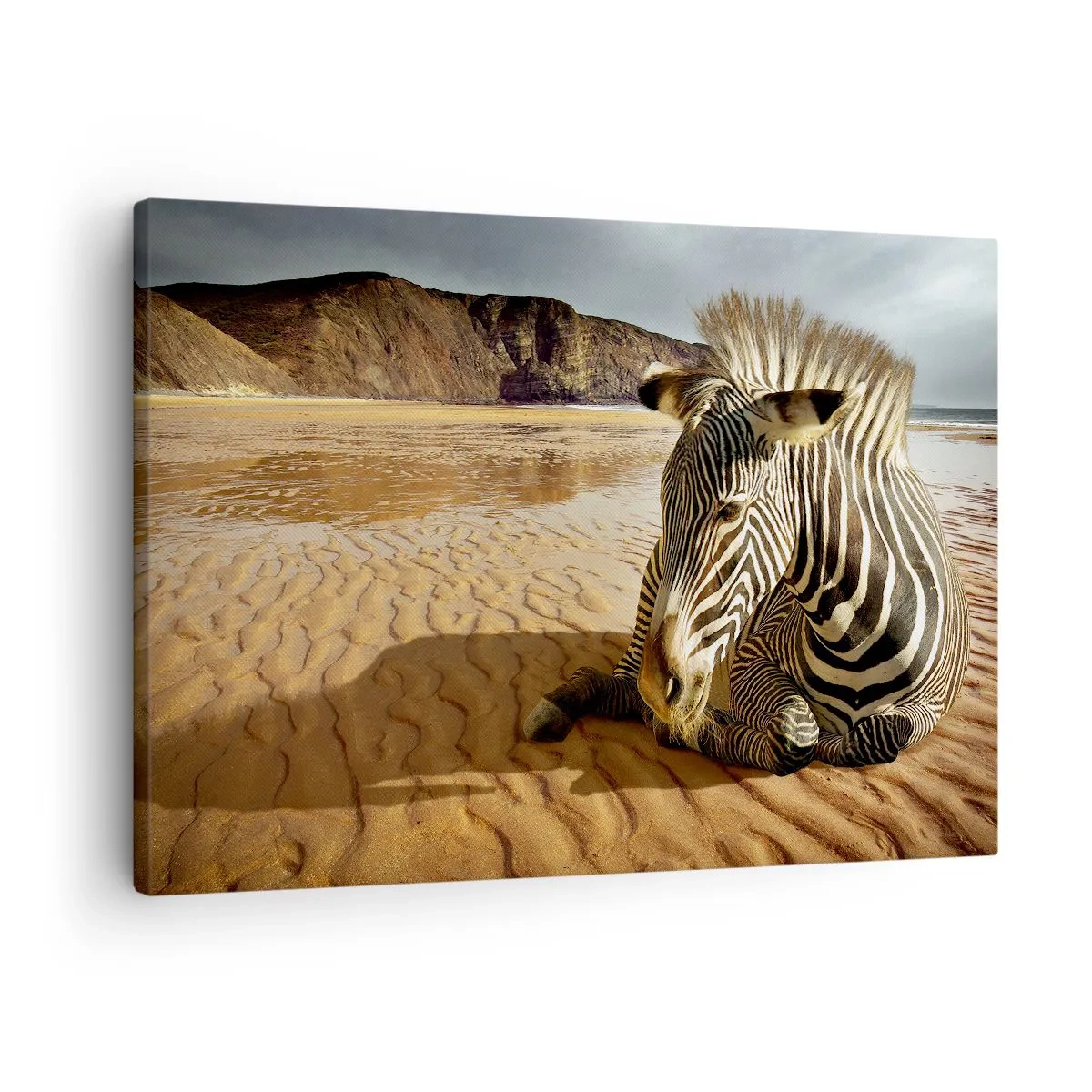 Impression sur toile - Image sur toile - Un zèbre se reposant sur une plage de sable avec des falaises en arrière-plan. - 70x50cm - On va bien ensemble - Décoration murale moderne pour le salon et la chambre ARTTOR