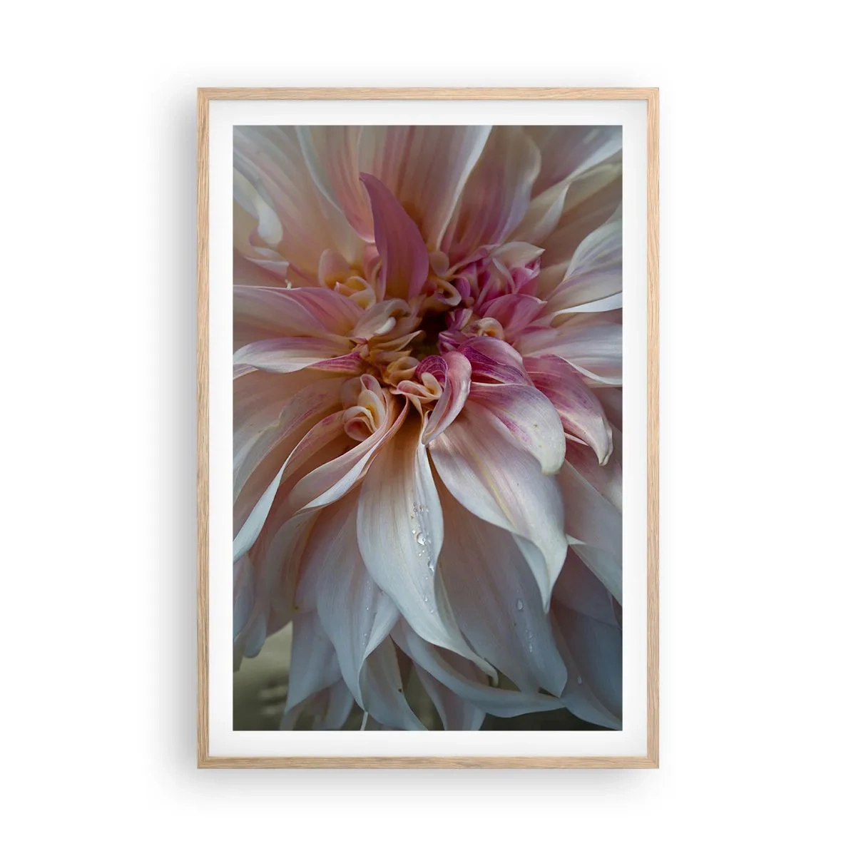 Affiche dans un chêne clair - Poster - Fraîcheur fleurissante - 61x91 cm