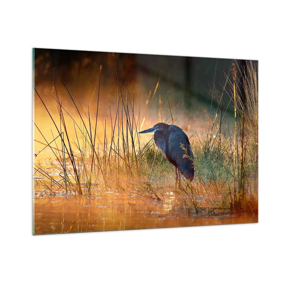 Impression sur verre - Image sur verre - Coucher de soleil sur un lac avec un héron - 100x70cm - Allez, laissez-moi en paix avec ces photos - Décoration murale moderne pour le salon et la chambre ARTTOR