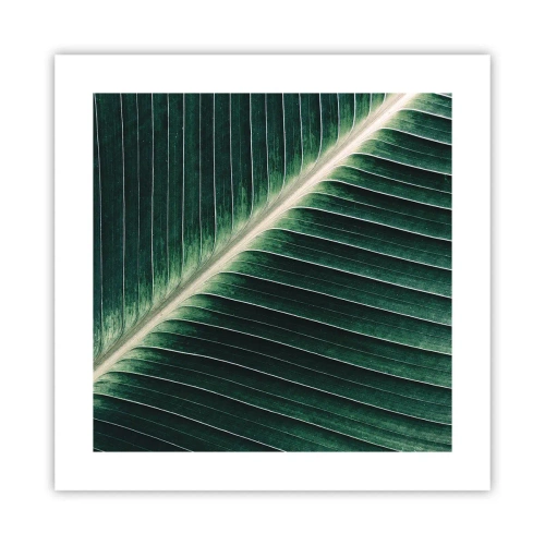 Affiche - Poster - Le rythme de la nature - 40x40 cm