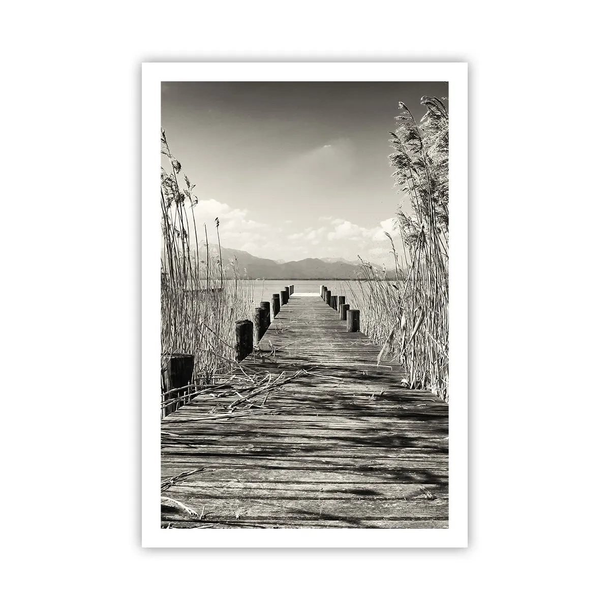 Affiche - Poster - Dans le calme de l'herbe - 61x91 cm