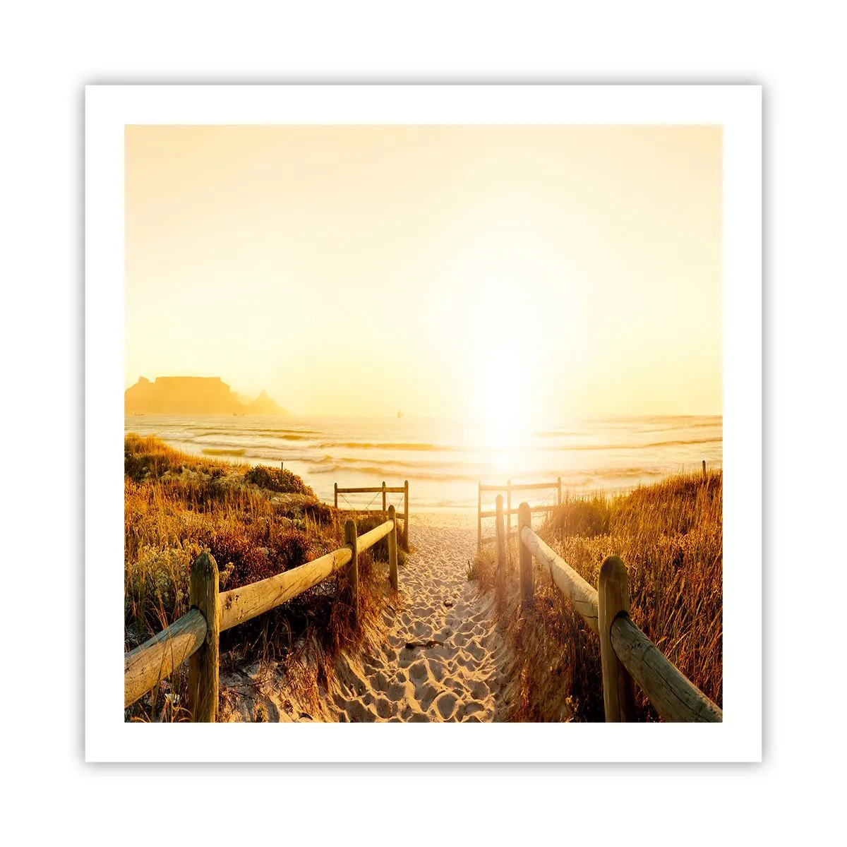 Affiche - Poster - A travers la dune, vers le soleil - 60x60 cm