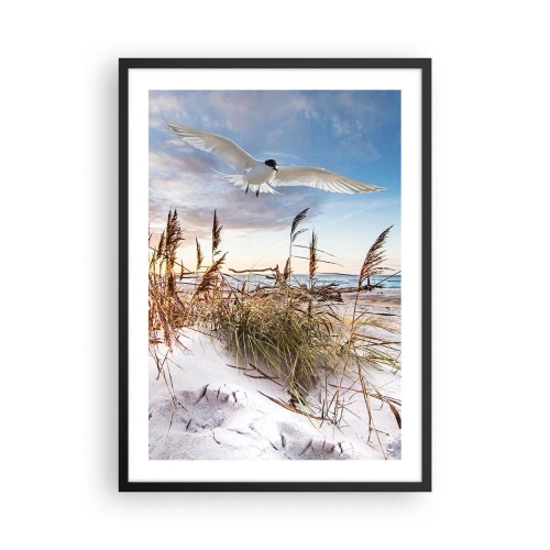 Affiche dans un cadre noir - Poster - Un oiseau en vol au-dessus des dunes et de la mer au coucher du soleil - 50x70cm - Vent de mer - Décoration murale moderne pour le salon et la chambre ARTTOR