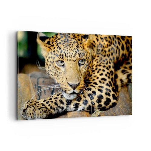 Impression sur toile - Image sur toile - Portrait d'un léopard dans son environnement naturel - 120x80cm - N'aie pas peur, viens - Décoration murale moderne pour le salon et la chambre ARTTOR