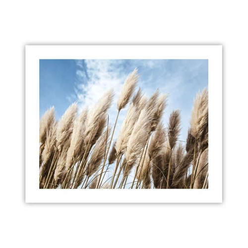 Affiche - Poster - Caresse ensoleillée et venteuse - 50x40 cm